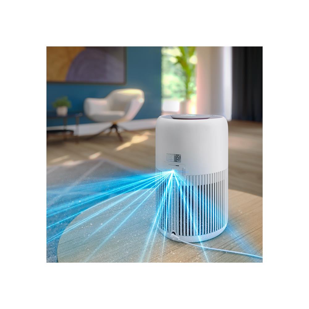 Air Purification Systems