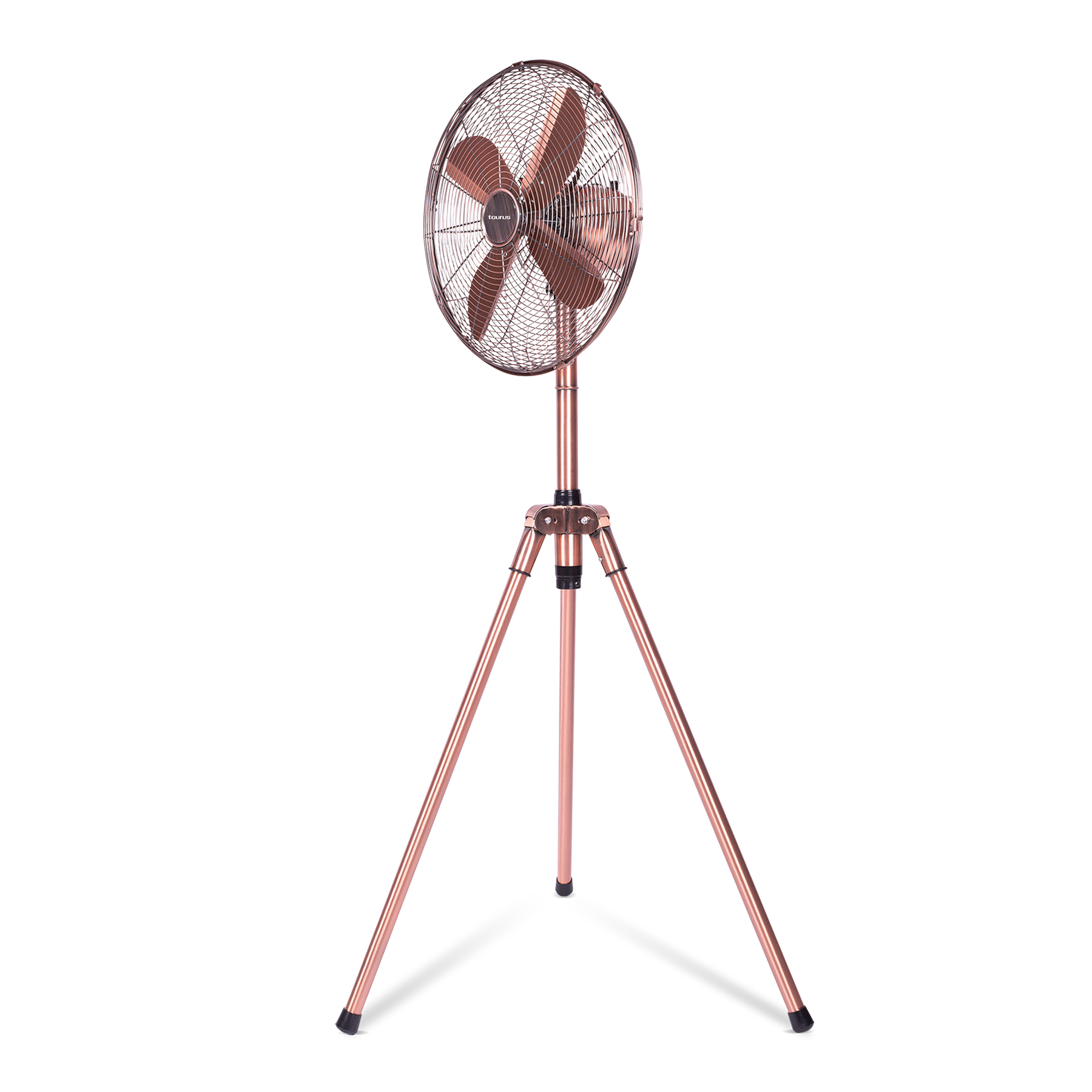 Fans